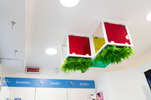 Farmacia Farmacap Roma